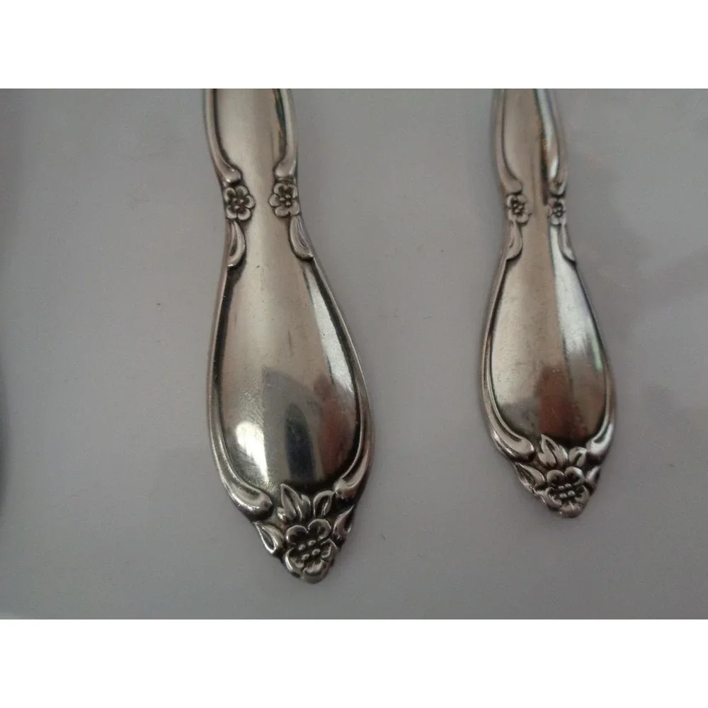 Oneida Community Stainless 9 pieces Dinner Forks Spoons Flatware Chatelaine